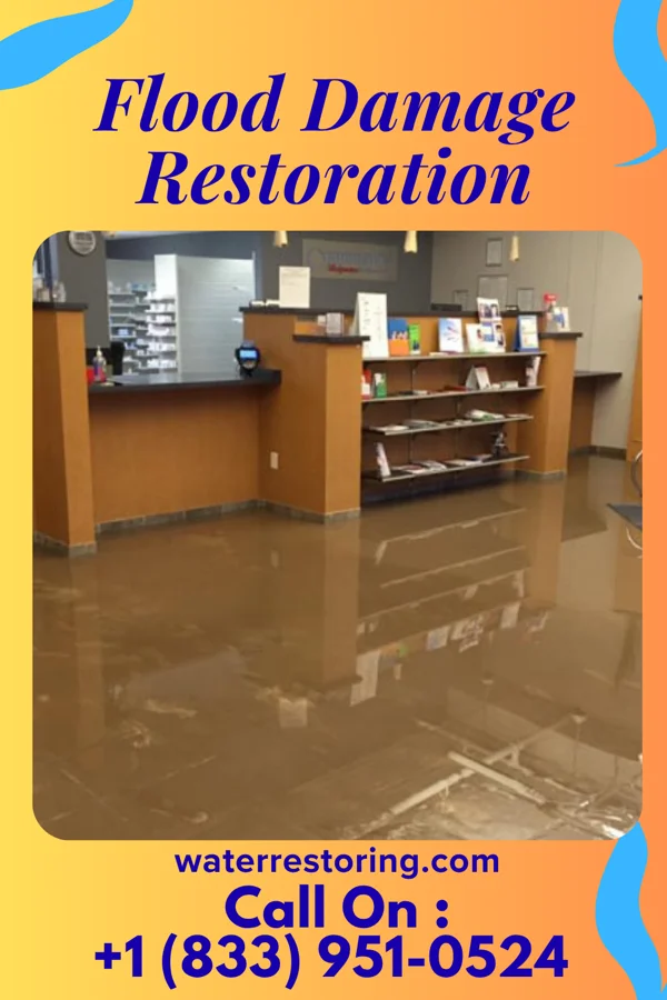 Flood Damage Restoration in Franklin, MI