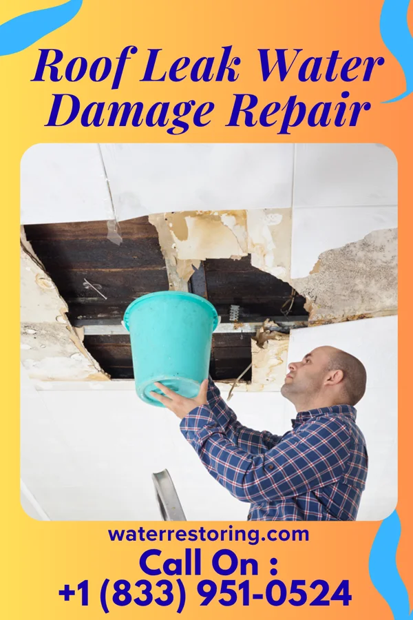 Roof Leak Water Damage Repair in Franklin, MI